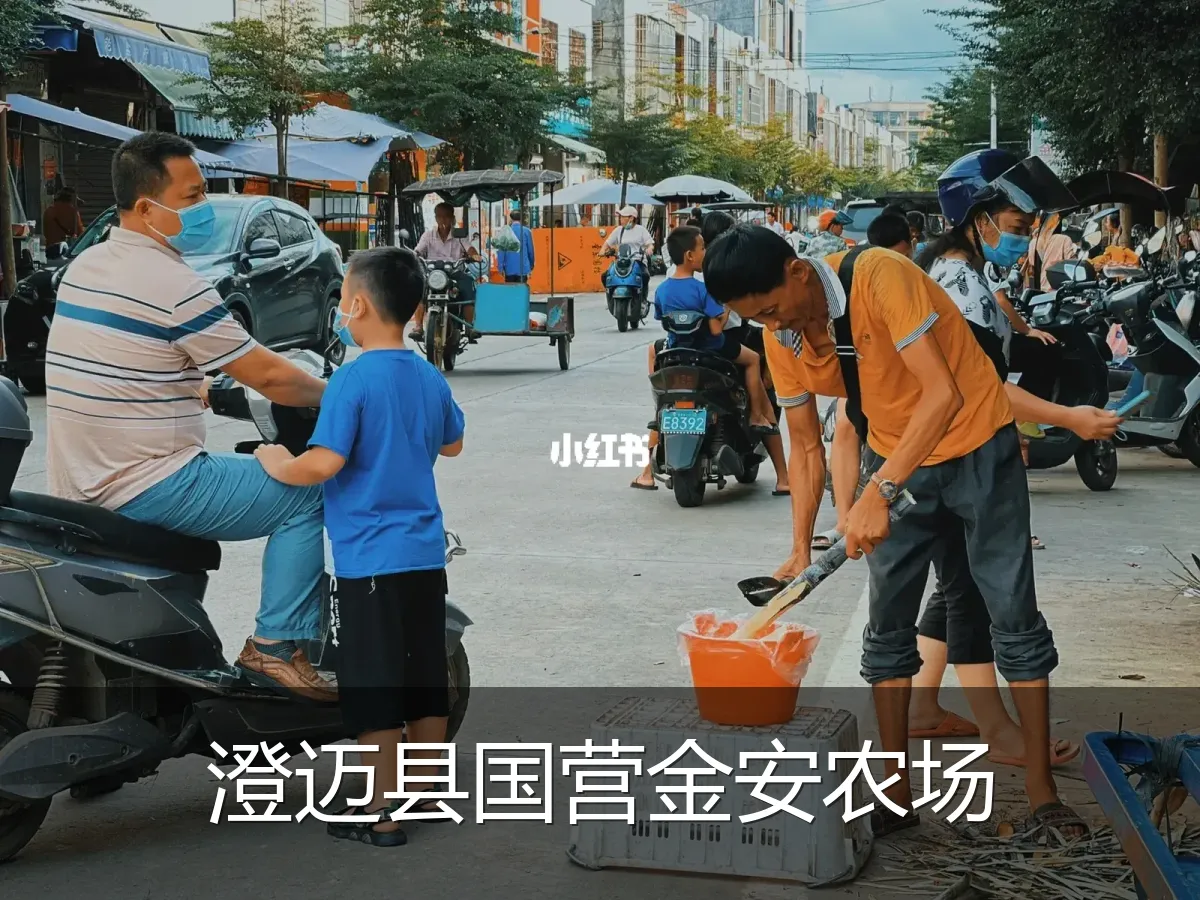 澄迈县国营金安农场